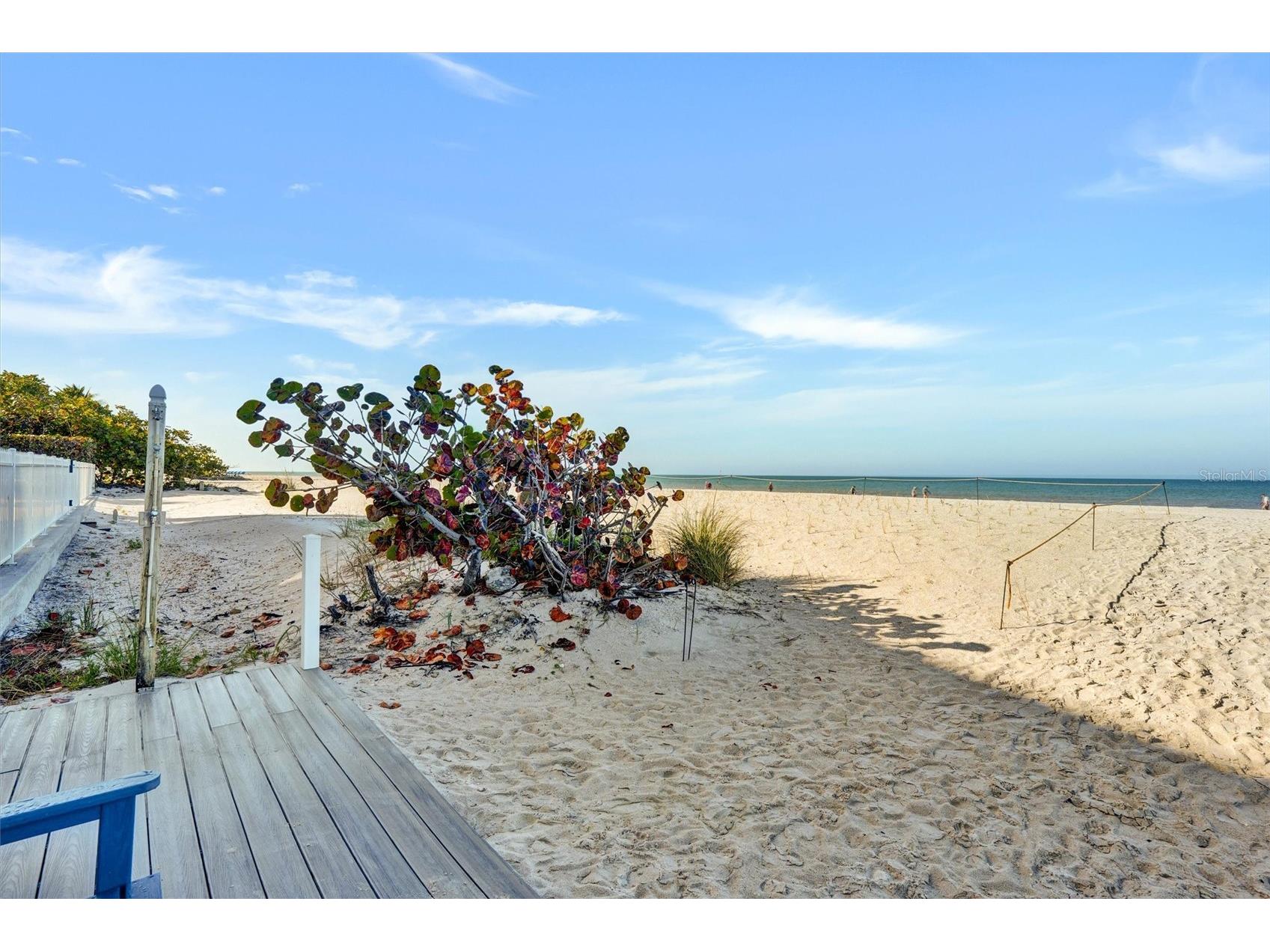 19610 Gulf Blvd #206 Indian Shores FL 33785 - GULF OF MEXICO/AMERICA TB8434571 image39