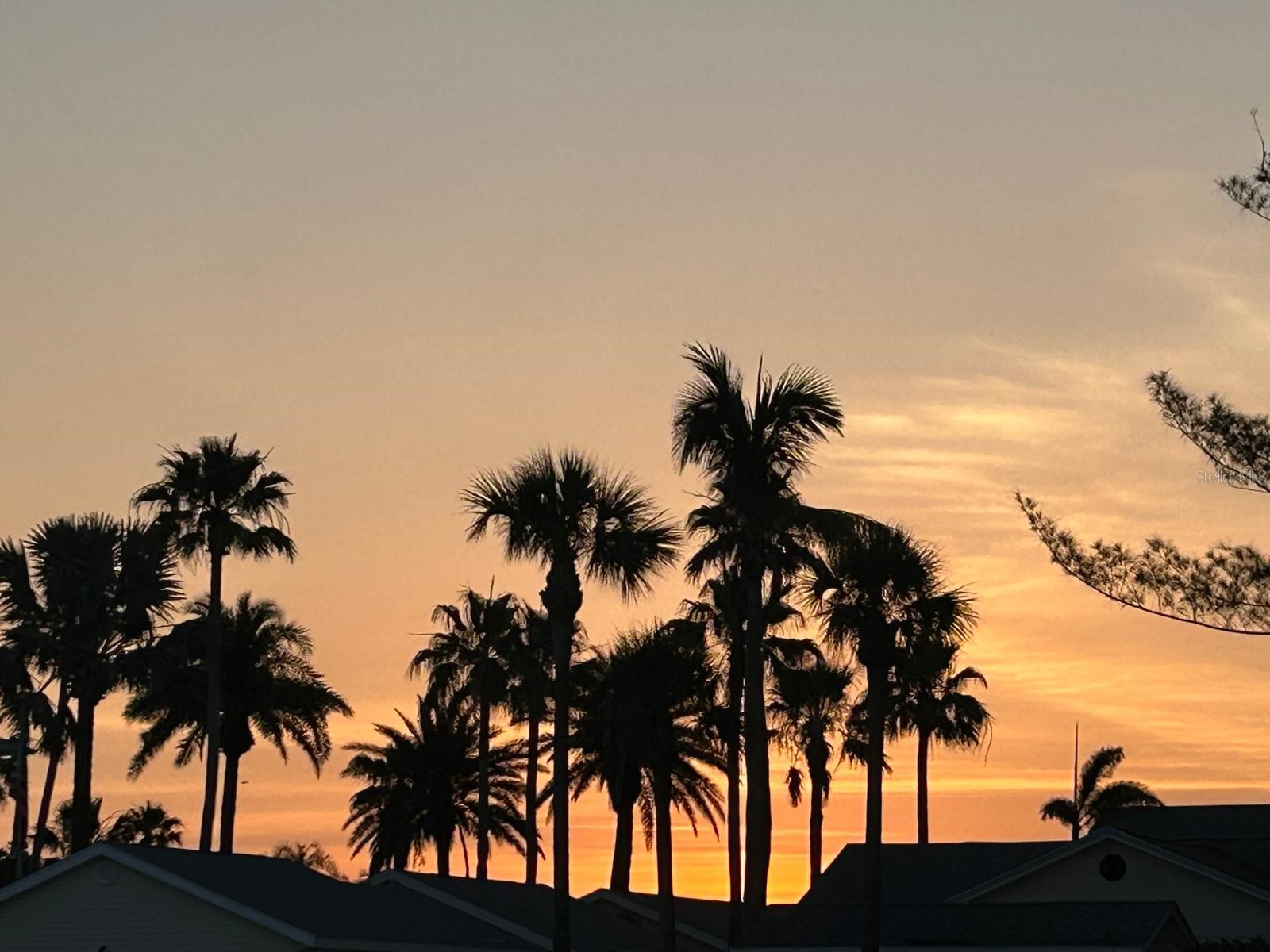 19610 Gulf Blvd #206 Indian Shores FL 33785 - GULF OF MEXICO/AMERICA TB8434571 image42