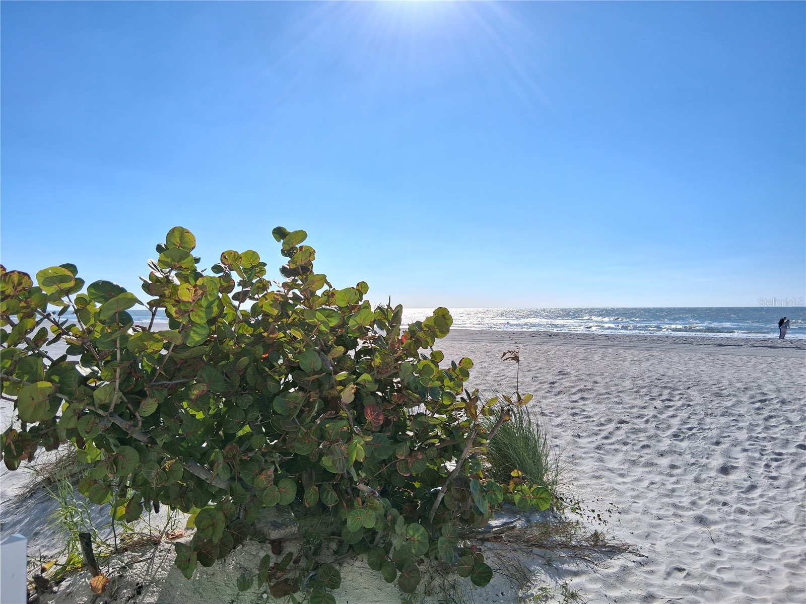 19610 Gulf Blvd #206 Indian Shores FL 33785 - GULF OF MEXICO/AMERICA TB8434571 image45