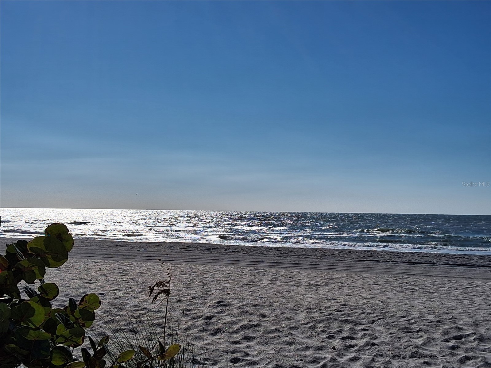 19610 Gulf Blvd #206 Indian Shores FL 33785 - GULF OF MEXICO/AMERICA TB8434571 image47