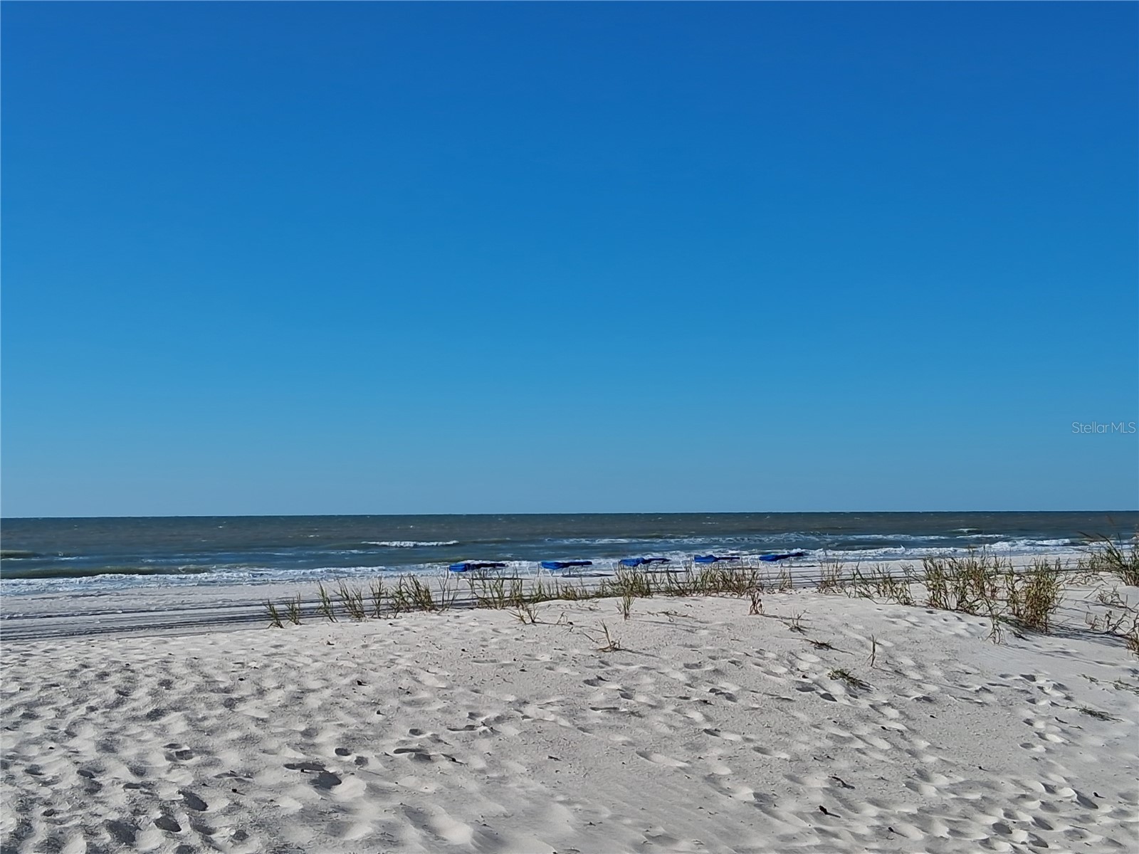 19610 Gulf Blvd #206 Indian Shores FL 33785 - GULF OF MEXICO/AMERICA TB8434571 image48