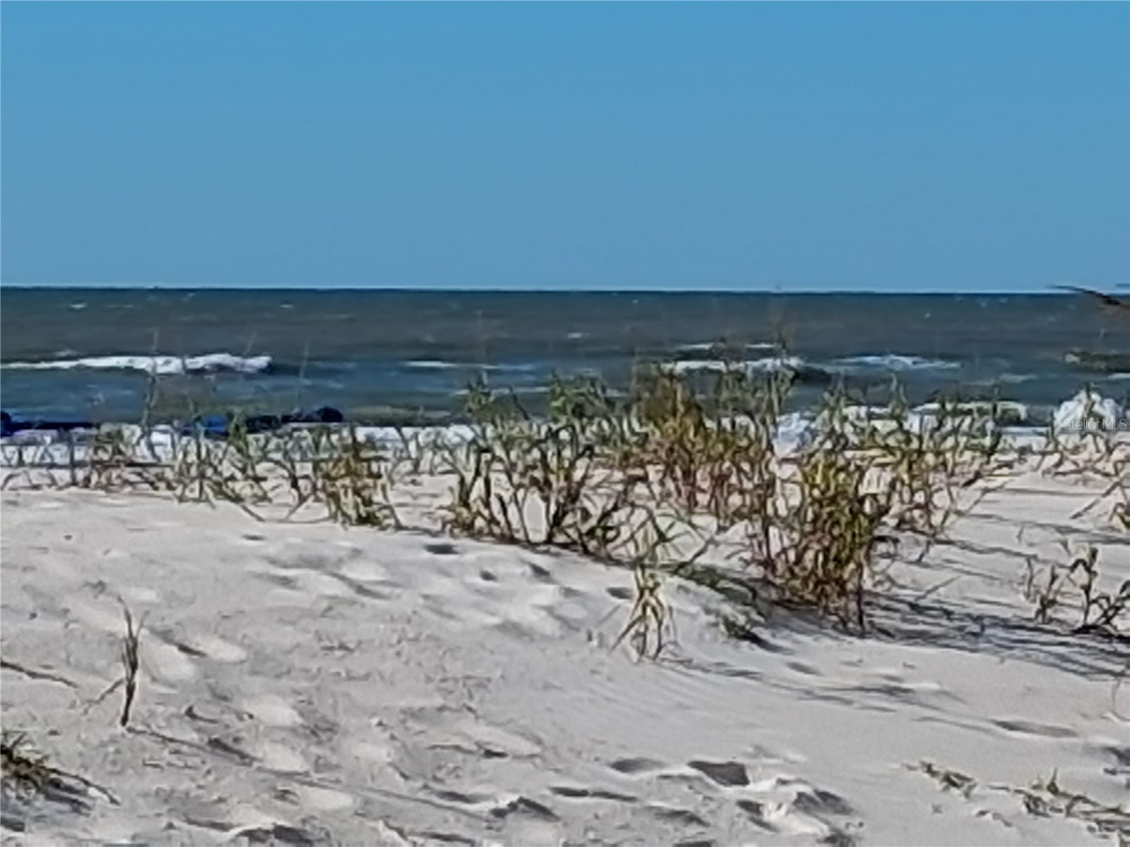 19610 Gulf Blvd #206 Indian Shores FL 33785 - GULF OF MEXICO/AMERICA TB8434571 image49