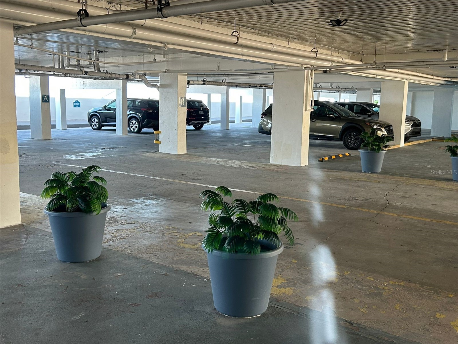 19610 Gulf Blvd #206 Indian Shores FL 33785 - GULF OF MEXICO/AMERICA TB8434571 image51