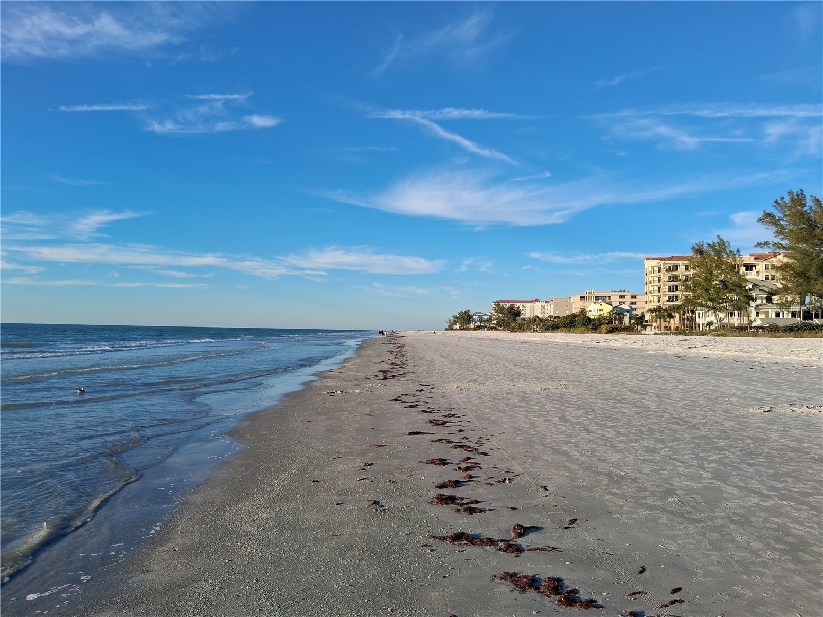 19610 Gulf Blvd #206 Indian Shores FL 33785 - GULF OF MEXICO/AMERICA TB8434571 image58