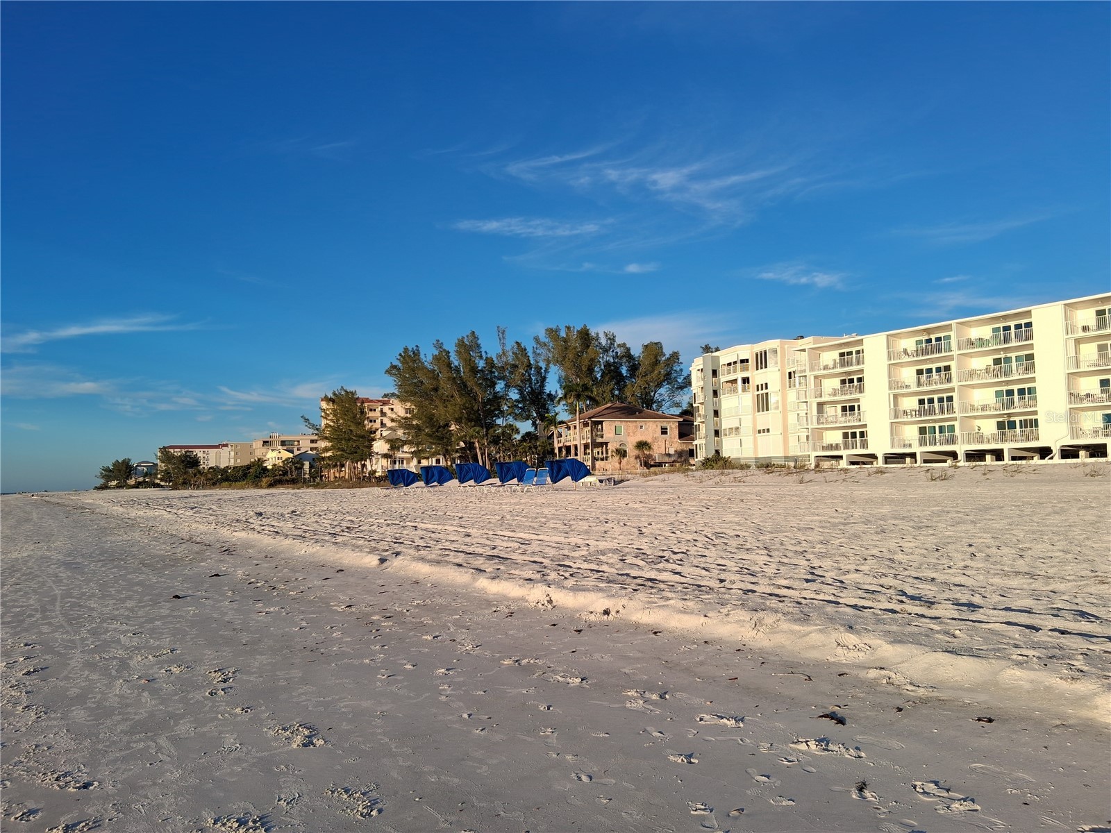 19610 Gulf Blvd #206 Indian Shores FL 33785 - GULF OF MEXICO/AMERICA TB8434571 image60