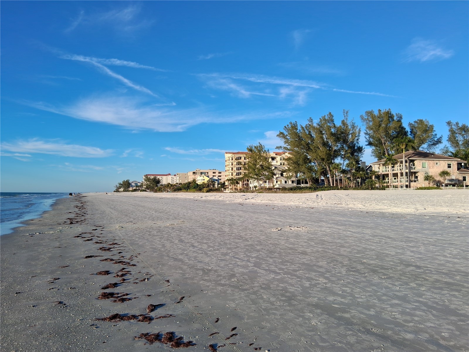 19610 Gulf Blvd #206 Indian Shores FL 33785 - GULF OF MEXICO/AMERICA TB8434571 image61