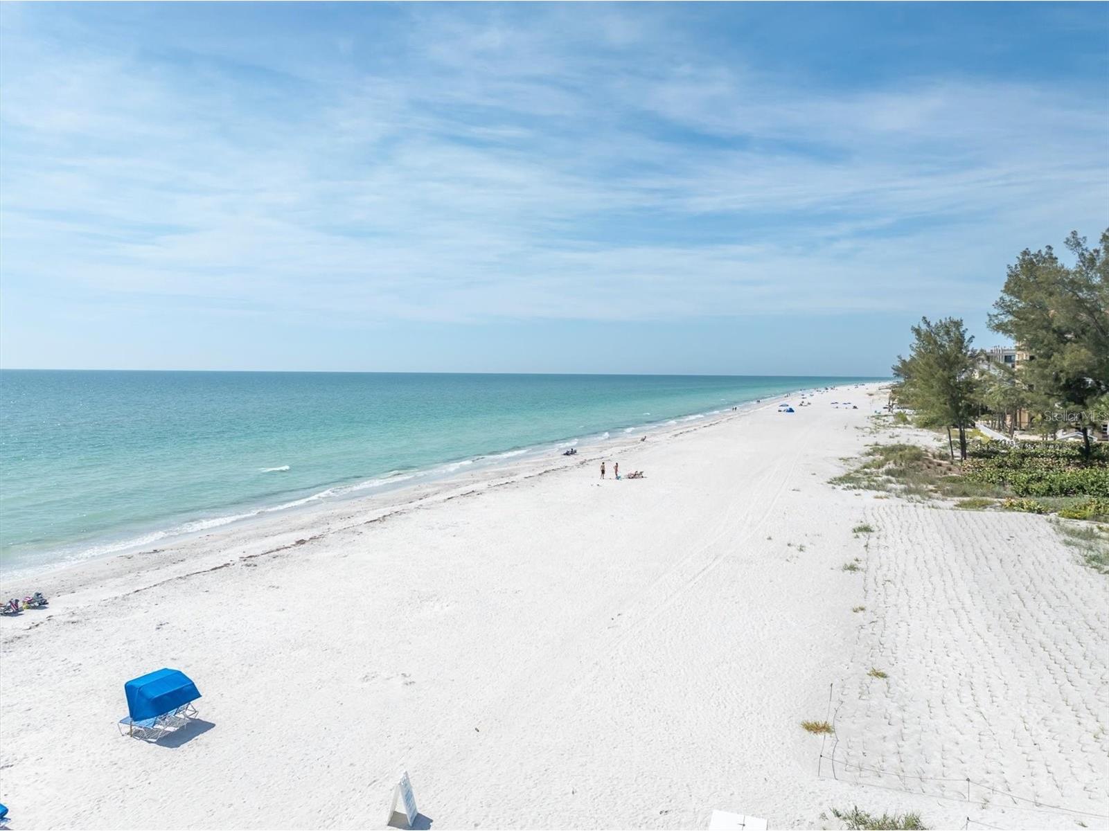 19610 Gulf Boulevard #308 Indian Rocks Beach FL 33785 - GULF OF MEXICO TB8506355 image32