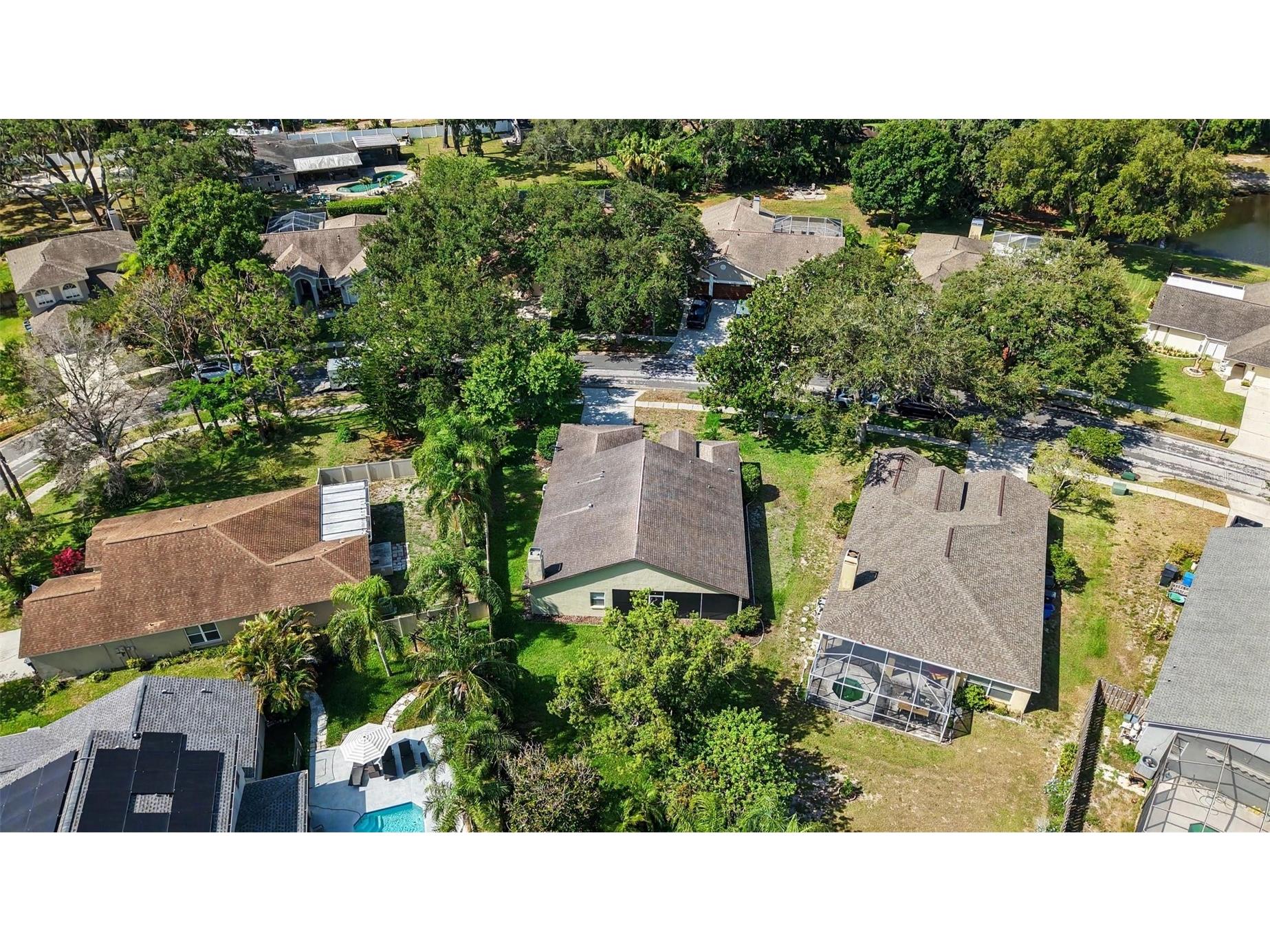 19610 Wyndmill Circle Odessa FL 33556 TB8521375 image33