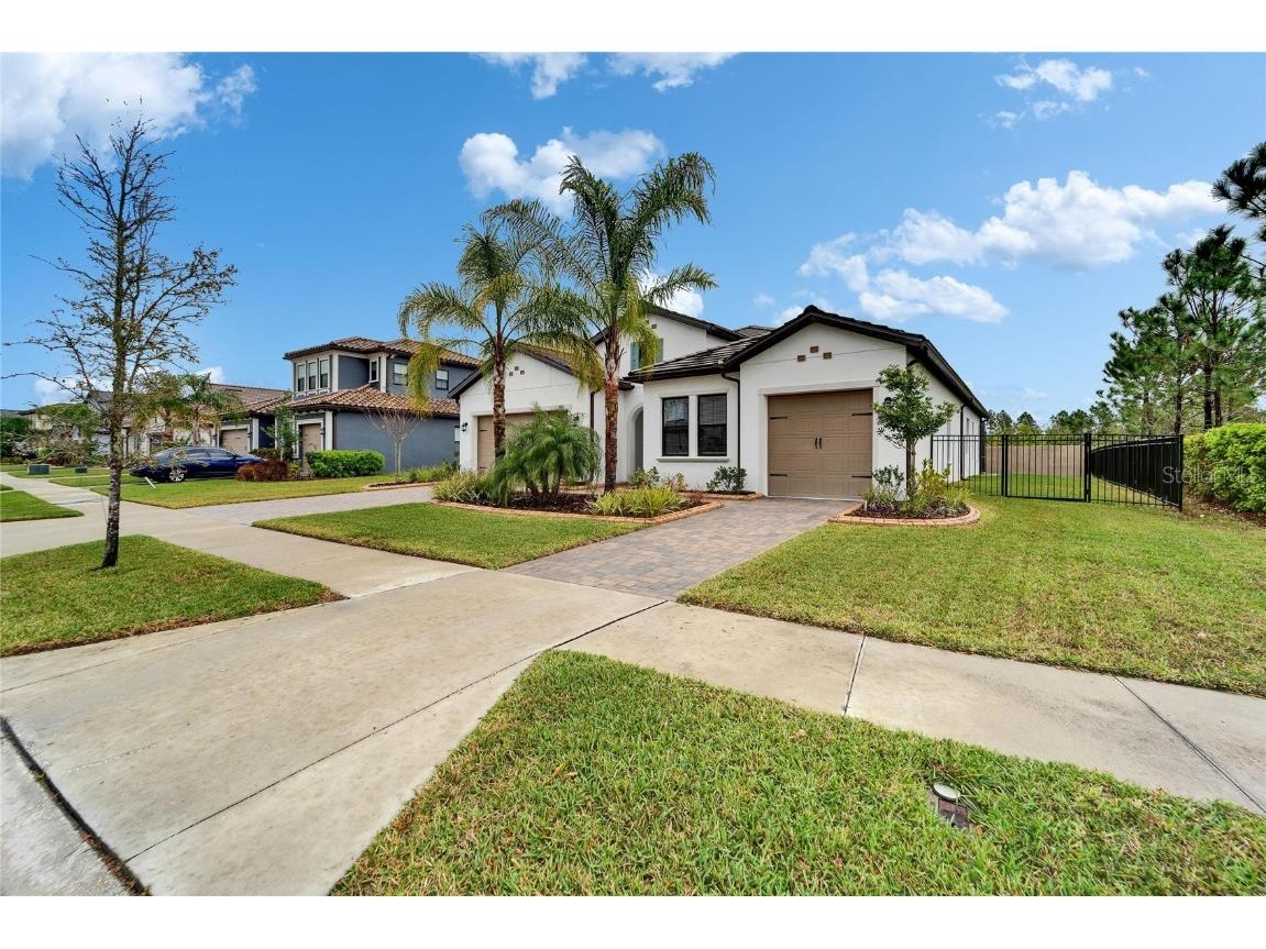 19611 Cypress Bridge Drive Odessa FL 33556 TB8364946 image1