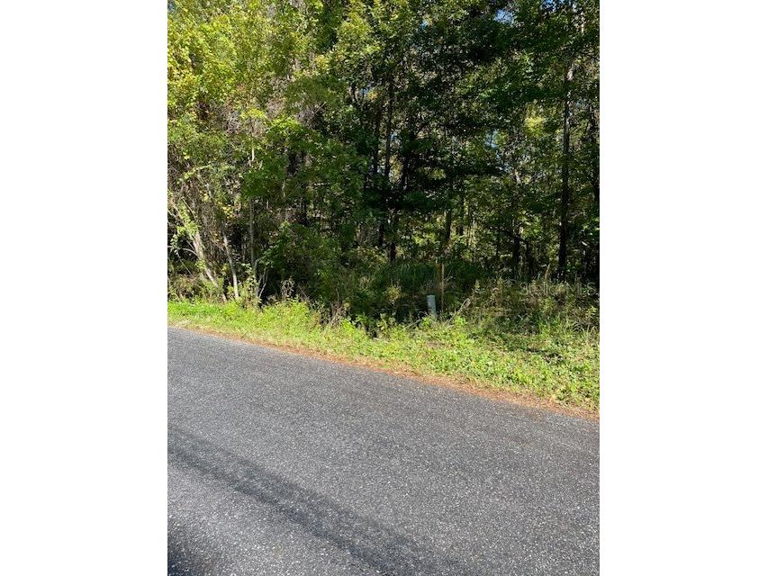 19611 NW 75th Street Alachua FL 32615 GC535208 image3