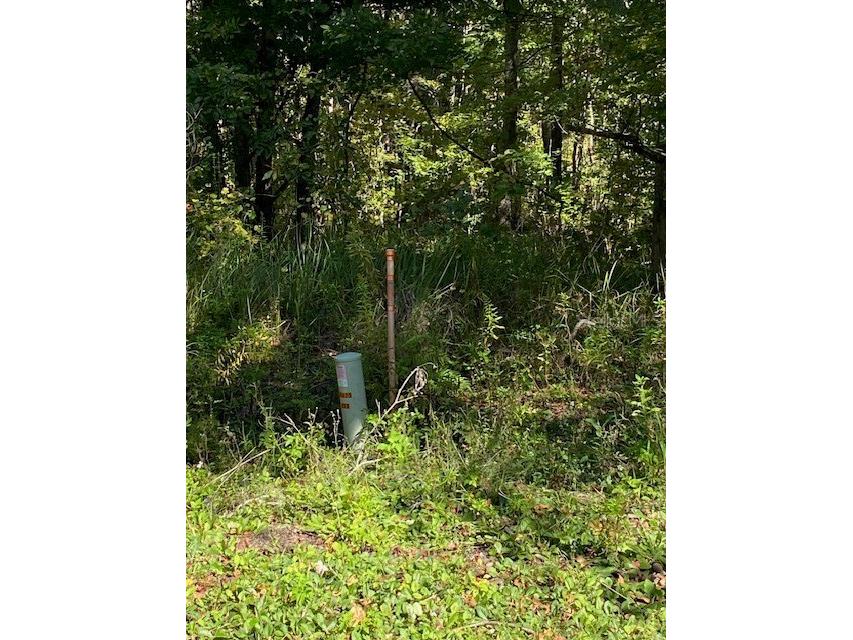 19611 NW 75th Street Alachua FL 32615 GC535208 image4