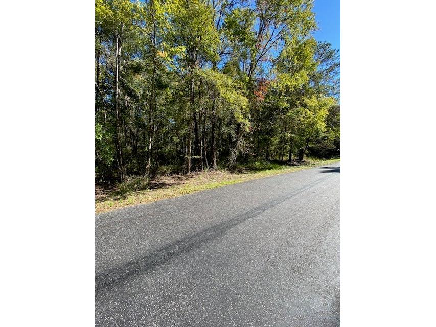 19611 NW 75th Street Alachua FL 32615 GC535208 image5