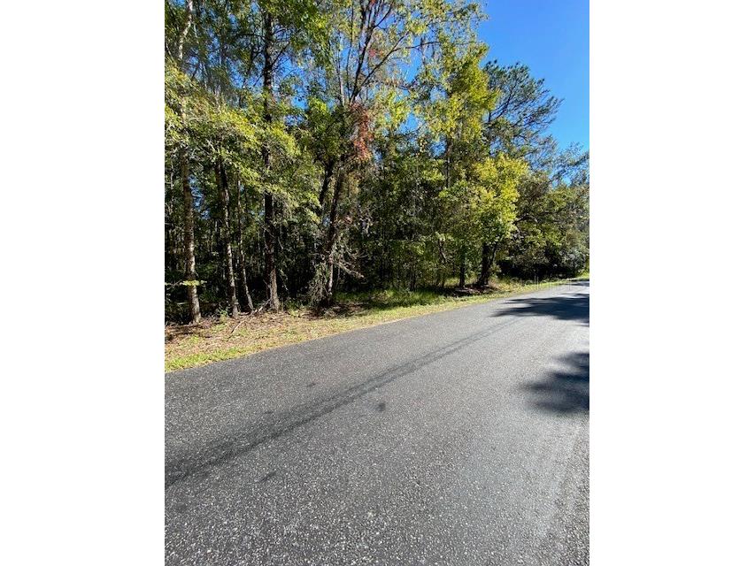 19611 NW 75th Street Alachua FL 32615 GC535208 image6