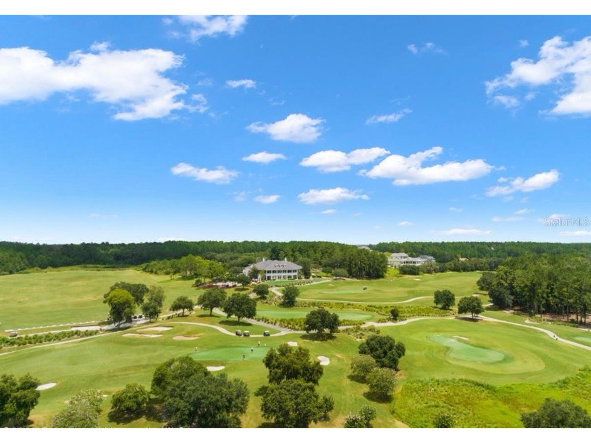 19612 Sterling Bluff Way Brooksville FL 34601 TB8489293 image2