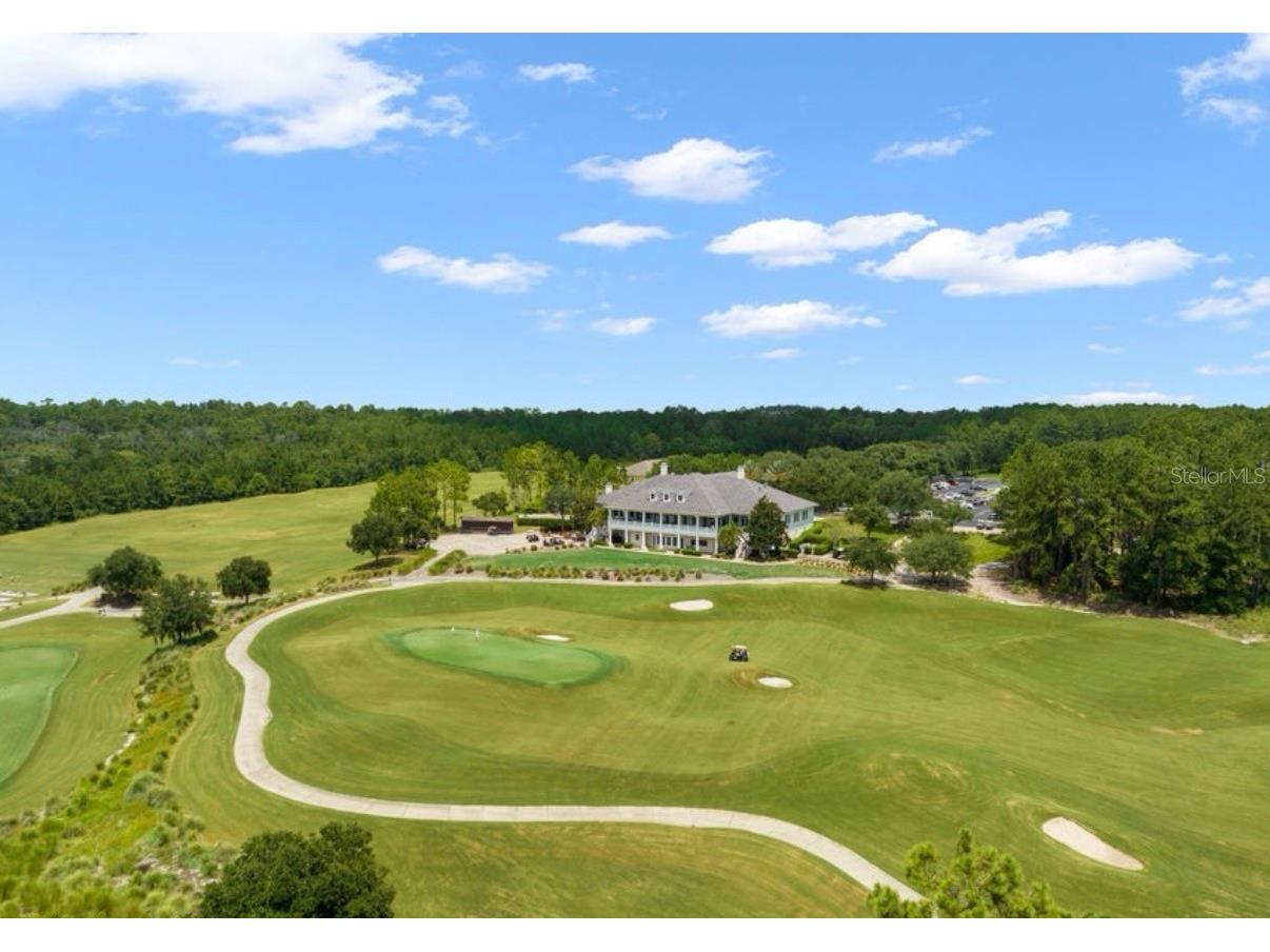 19612 Sterling Bluff Way Brooksville FL 34601 TB8489293 image3