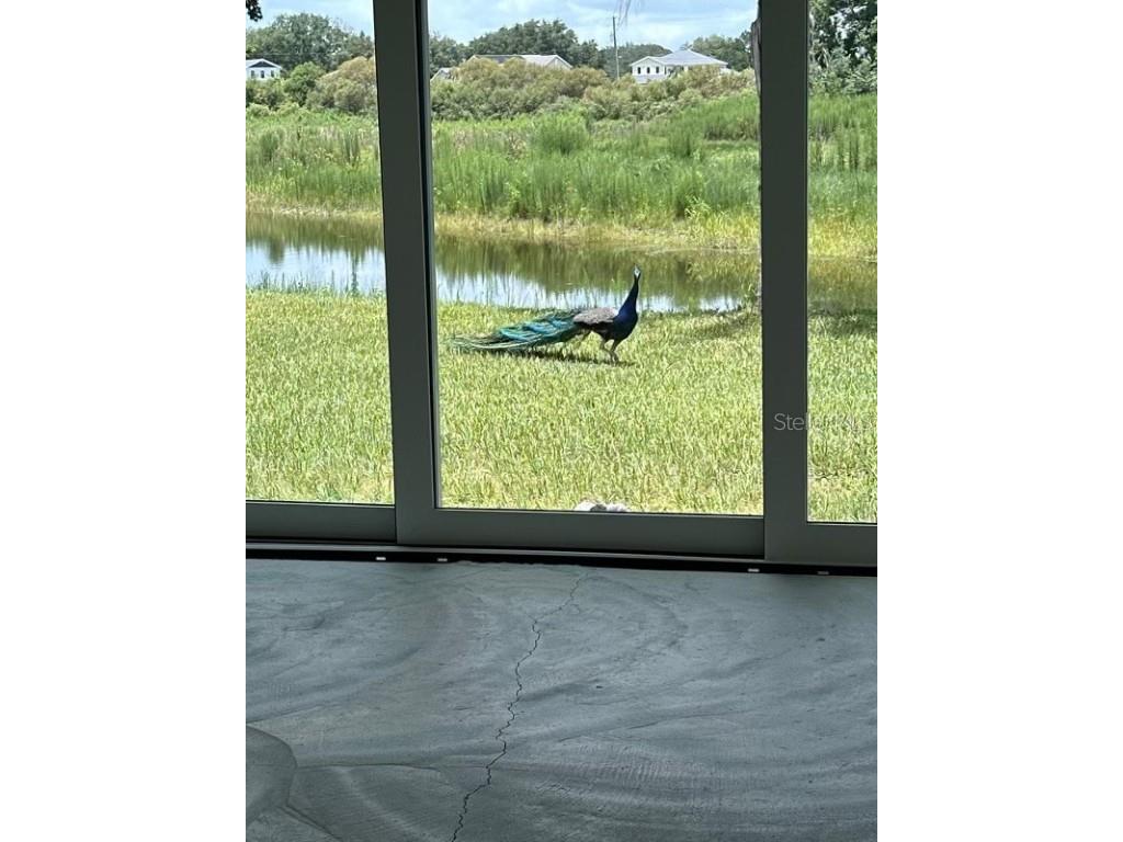 19616 Livingston Avenue Lutz FL 33559 O6354500 image35