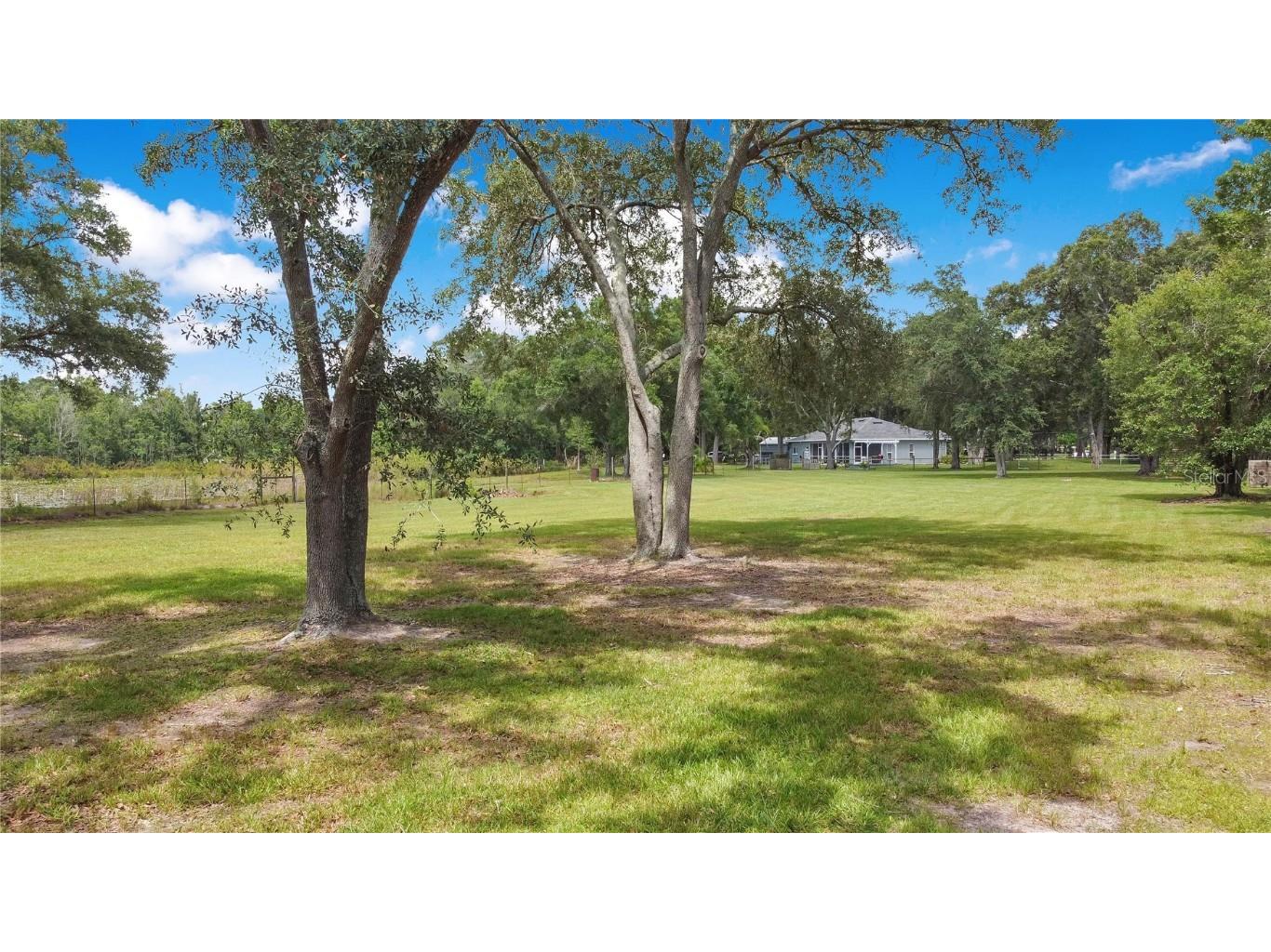 19616 Livingston Avenue Lutz FL 33559 O6354500 image39