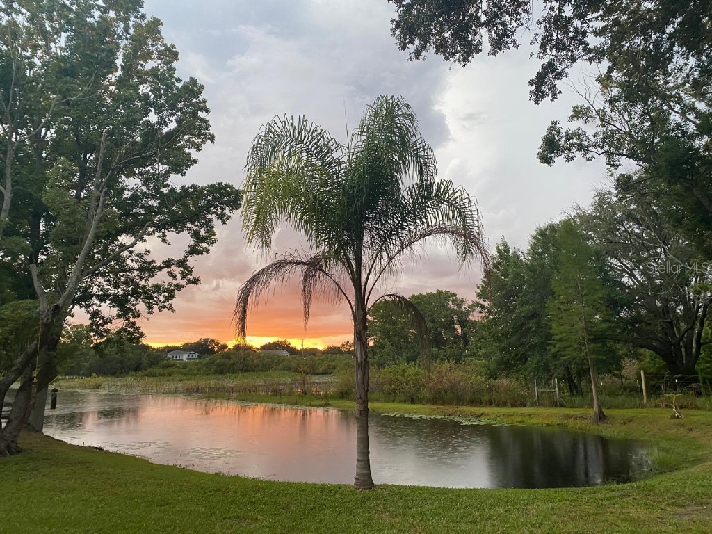 19616 Livingston Avenue Lutz FL 33559 O6354500 image43