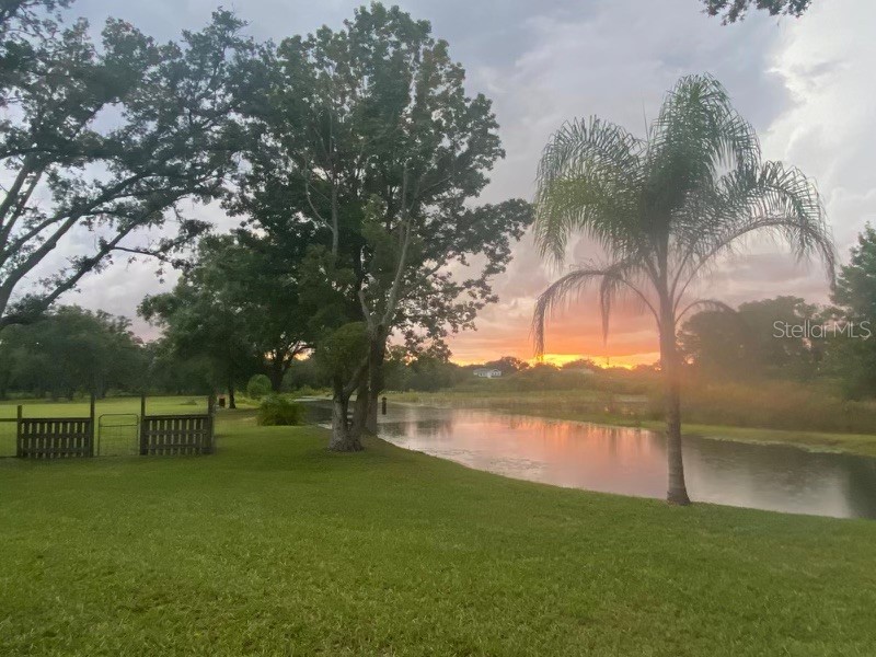 19616 Livingston Avenue Lutz FL 33559 O6354500 image45