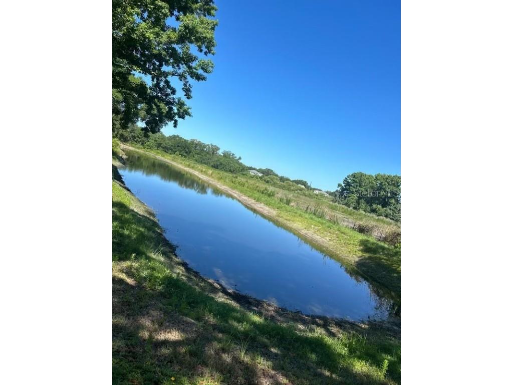 19616 Livingston Avenue Lutz FL 33559 O6354500 image46