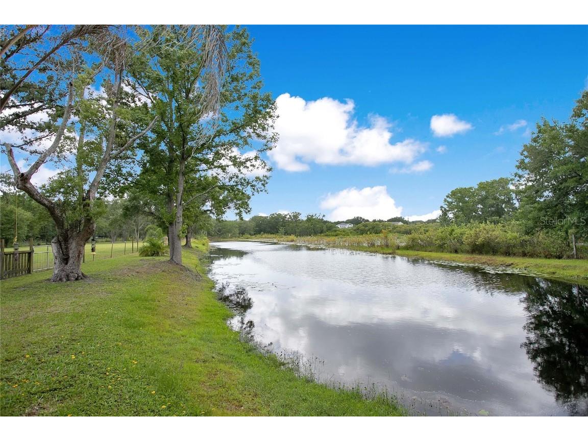 19616 Livingston Avenue Lutz FL 33559 O6354500 image47