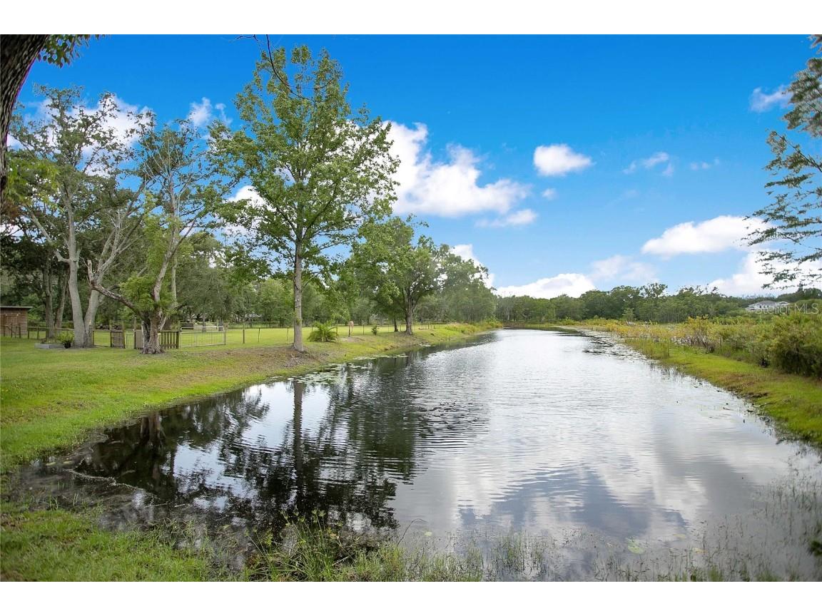 19616 Livingston Avenue Lutz FL 33559 O6354500 image48