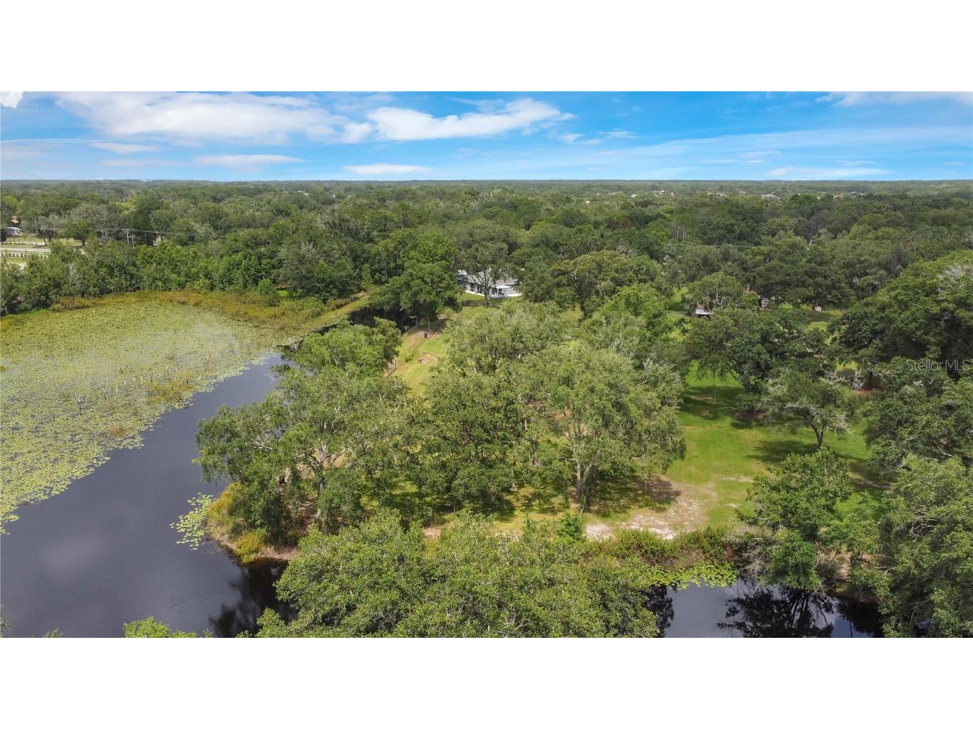 19616 Livingston Avenue Lutz FL 33559 O6354500 image50