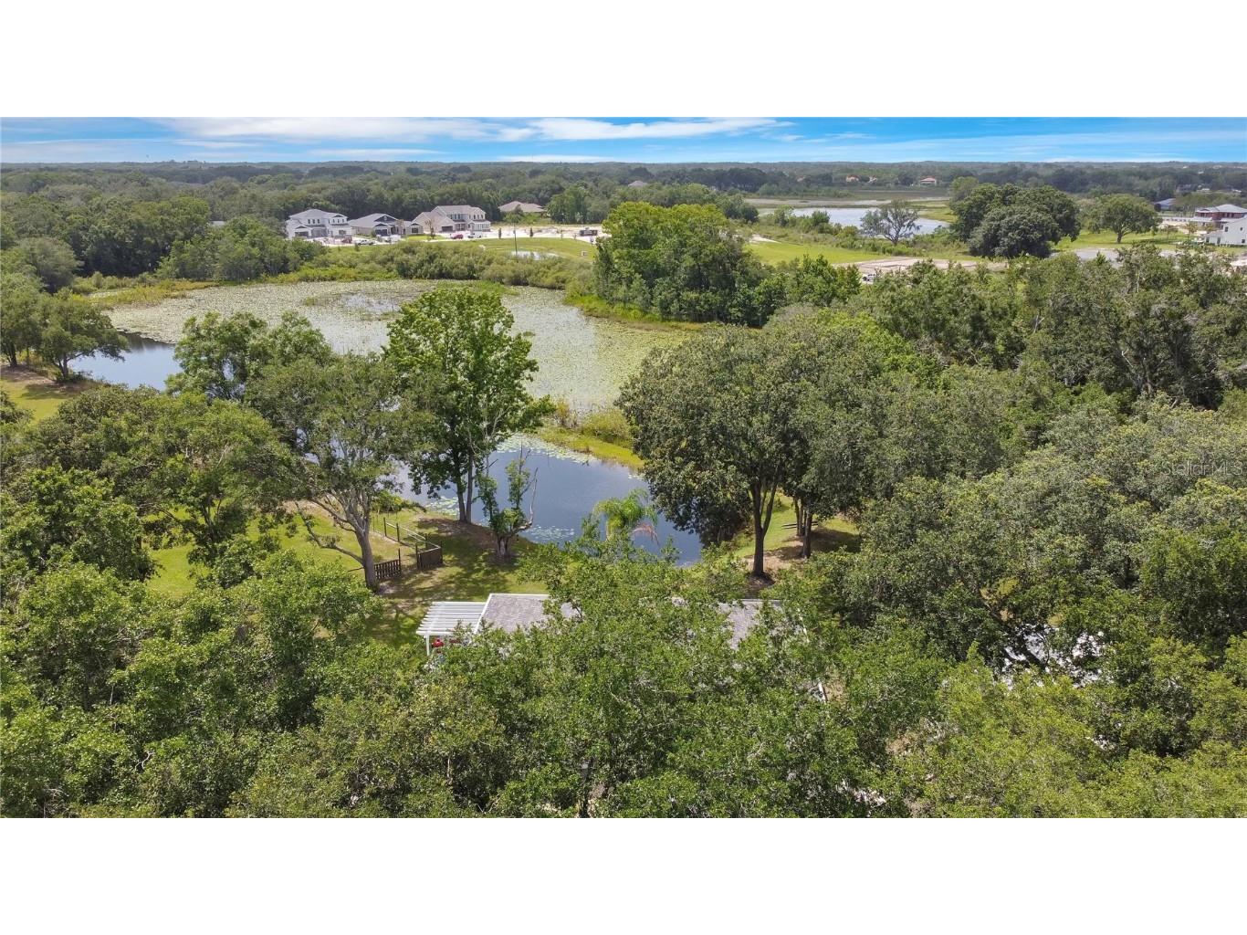 19616 Livingston Avenue Lutz FL 33559 O6354500 image51