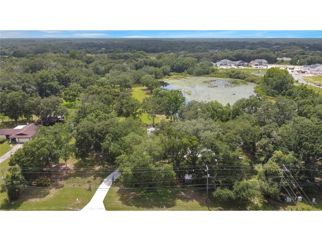 19616 Livingston Avenue Lutz FL 33559 O6354500 image52