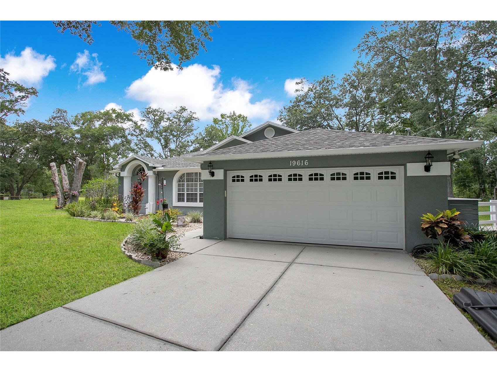 19616 Livingston Avenue Lutz FL 33559 TB8519451 image3