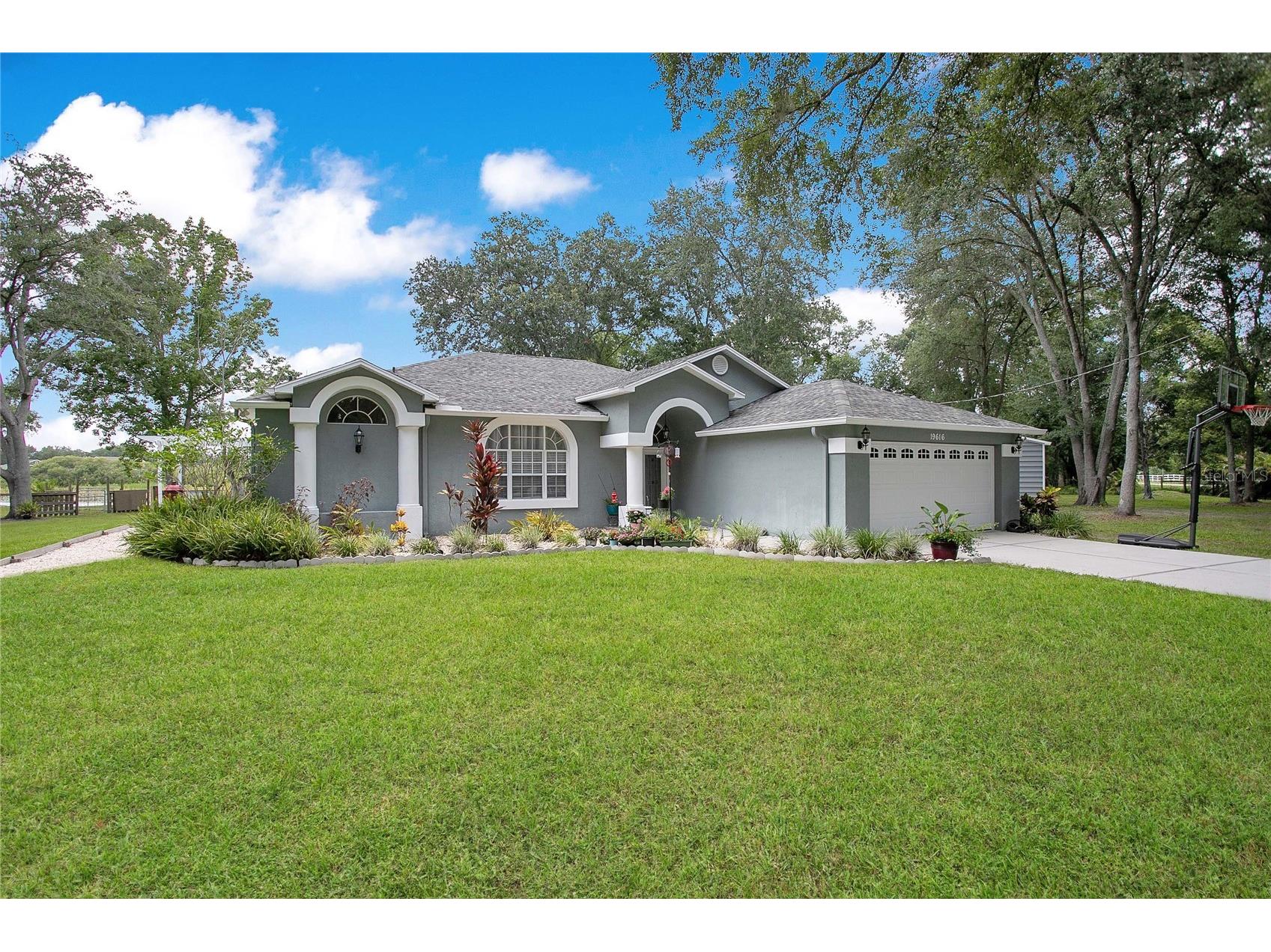 19616 Livingston Avenue Lutz FL 33559 TB8519451 image7