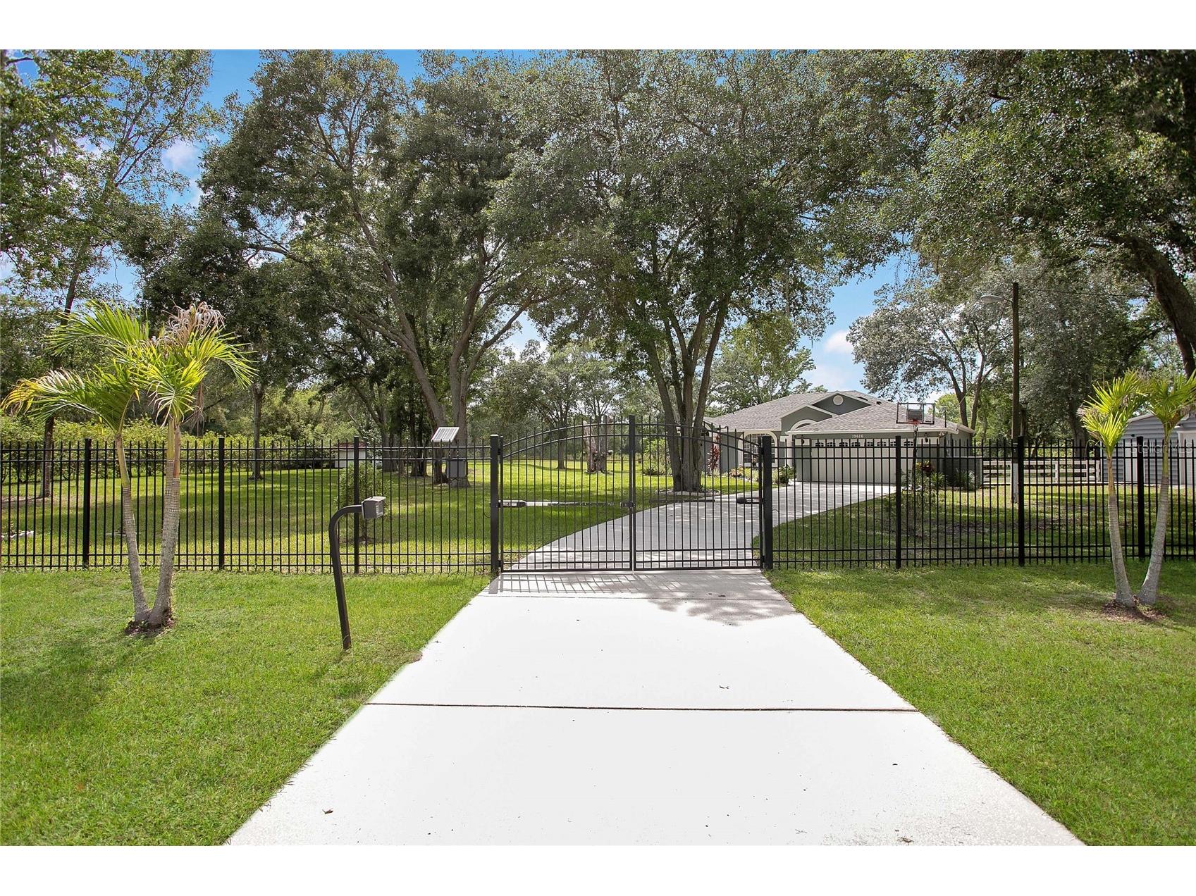 19616 Livingston Avenue Lutz FL 33559 TB8520694 image7