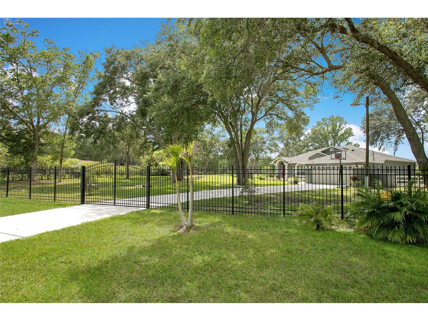 19616 Livingston Avenue Lutz FL 33559 TB8520764 image2
