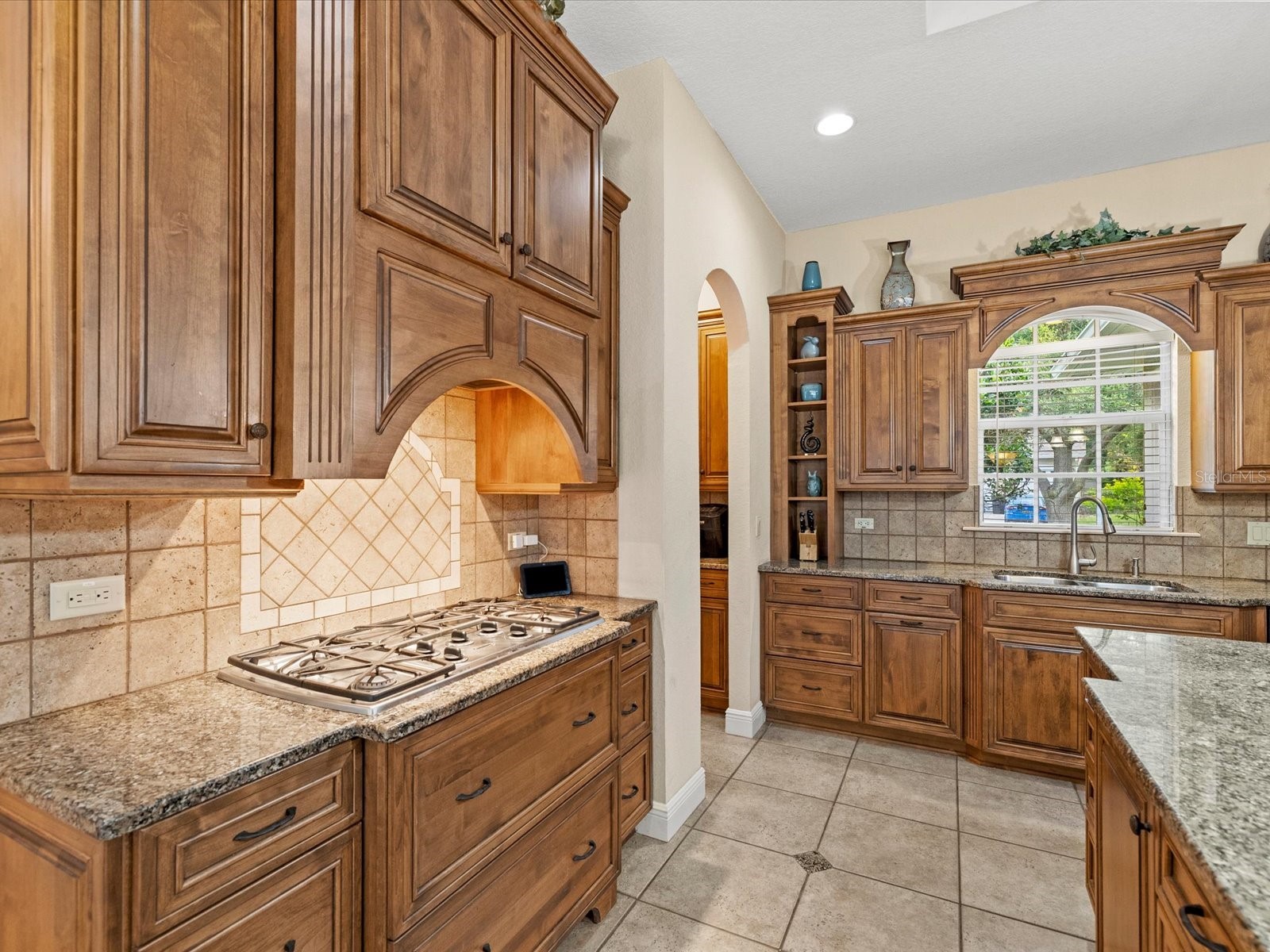 19617 Eagle Crest Drive Lutz FL 33549 W7886041 image24