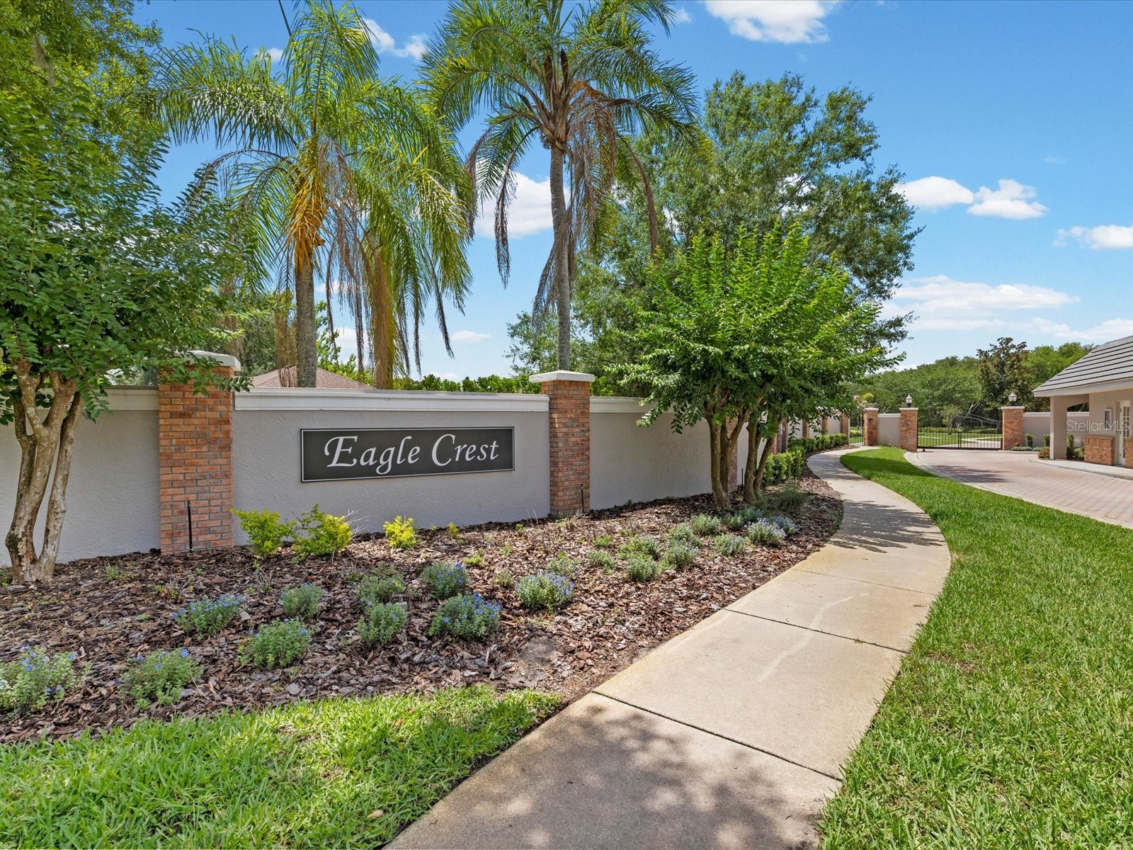 19617 Eagle Crest Drive Lutz FL 33549 W7886041 image51