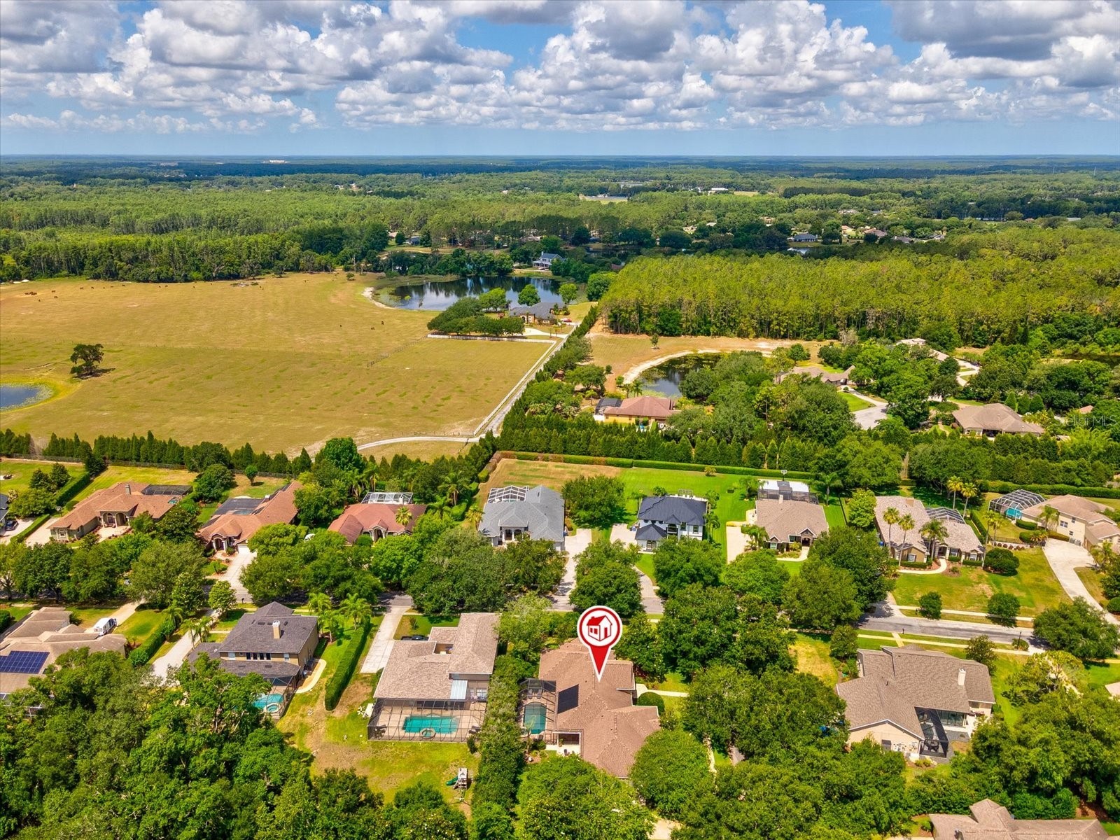 19617 Eagle Crest Drive Lutz FL 33549 W7886041 image53