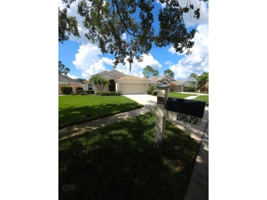 19619 Bellehurst Loop Land O Lakes FL 34638 T3461144 image1