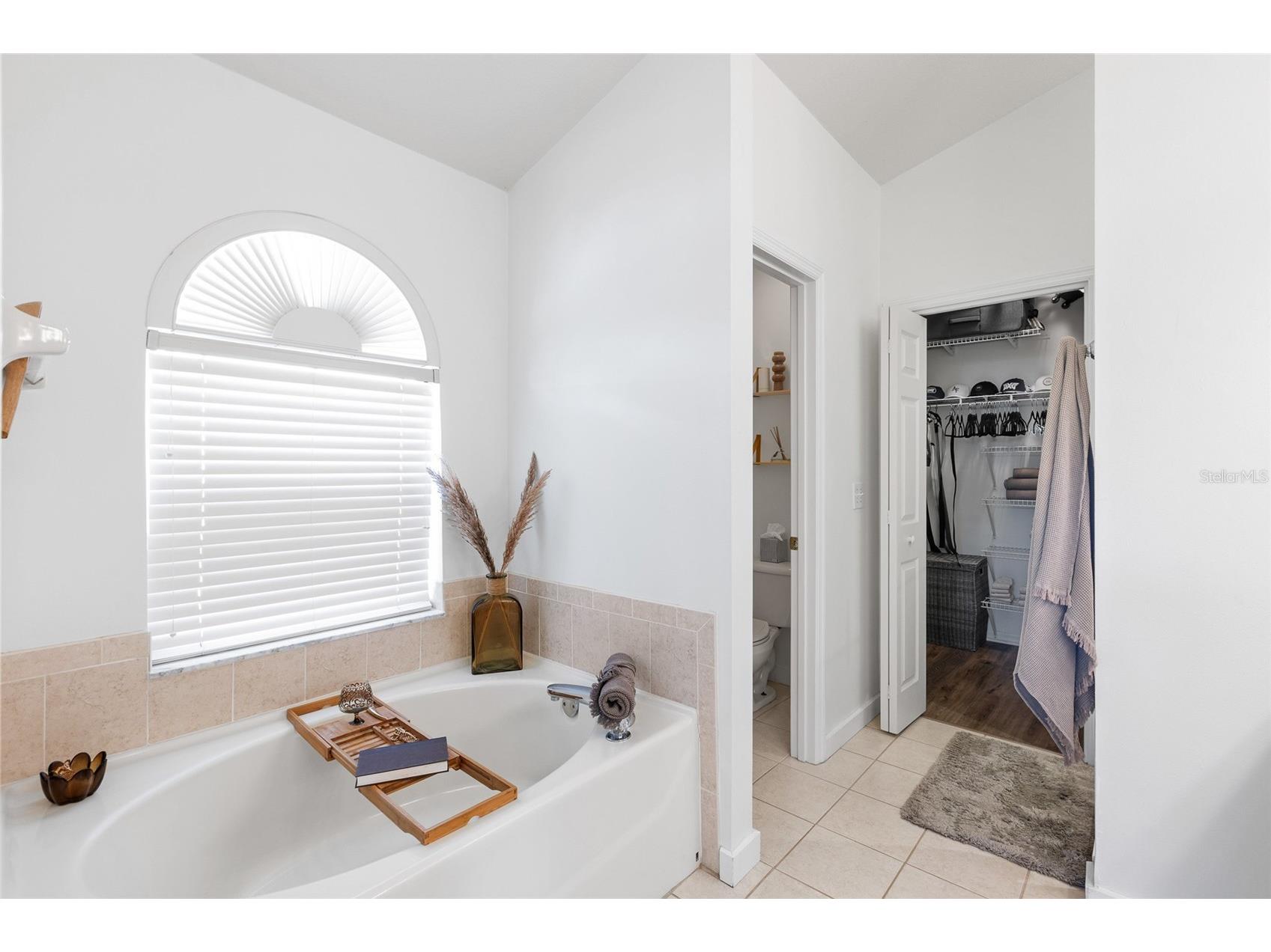 19619 Bergenfeld Drive Land O Lakes FL 34638 TB8520377 image26