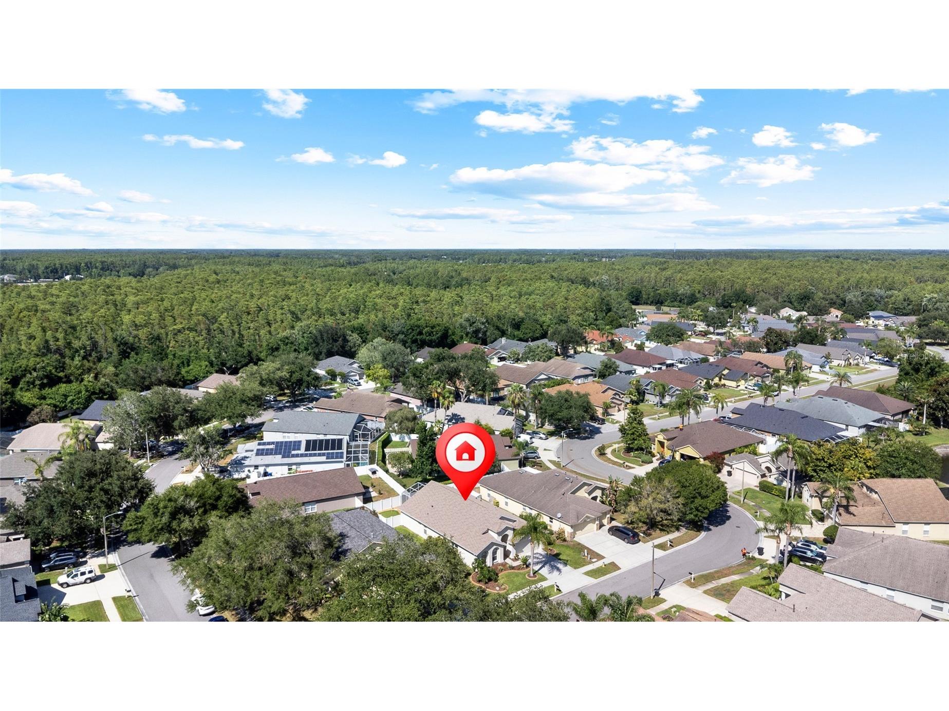 19619 Bergenfeld Drive Land O Lakes FL 34638 TB8520377 image44
