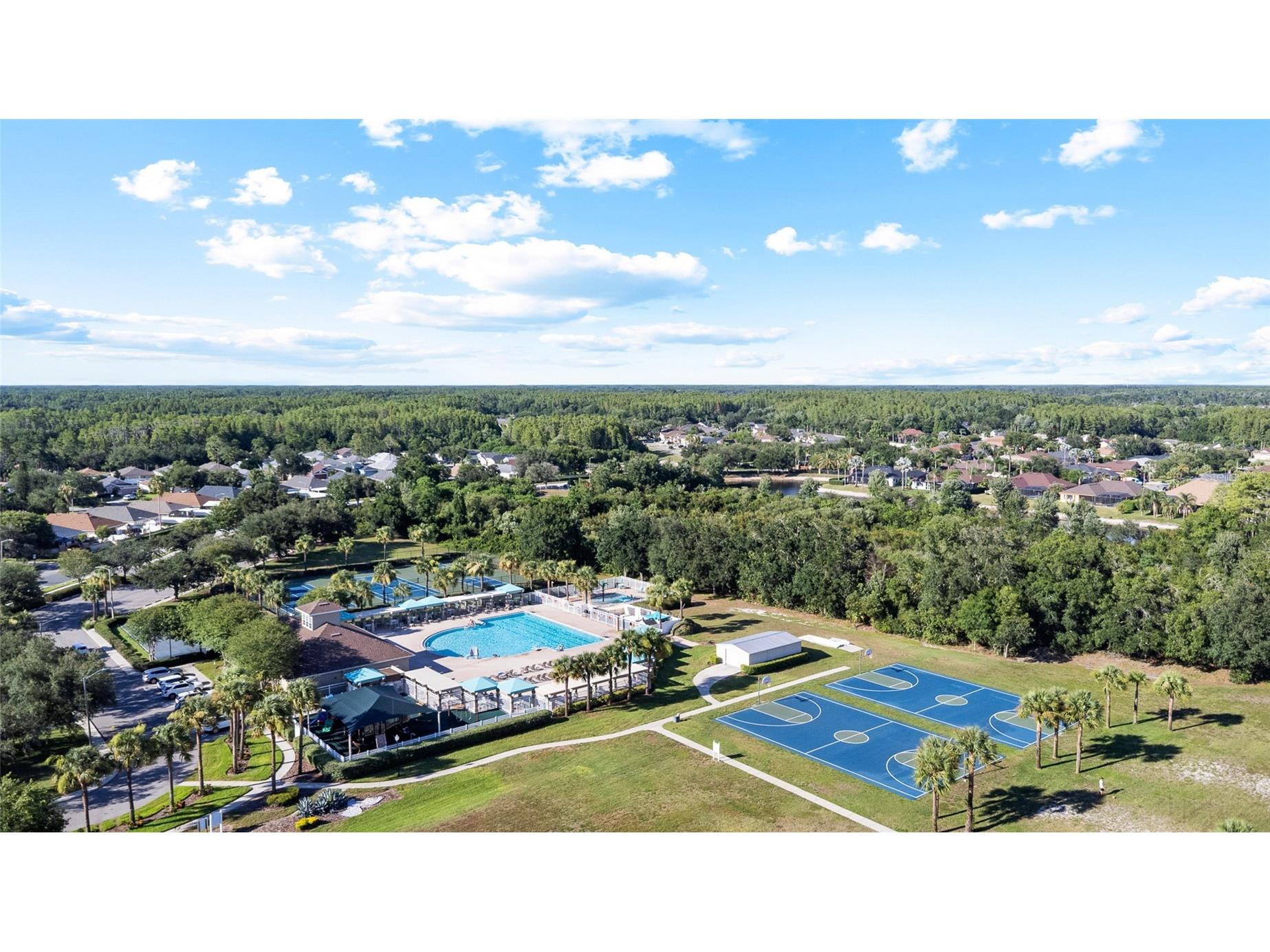 19619 Bergenfeld Drive Land O Lakes FL 34638 TB8520377 image45