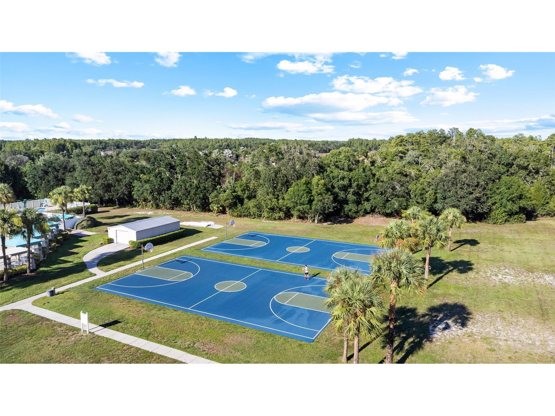 19619 Bergenfeld Drive Land O Lakes FL 34638 TB8520377 image46