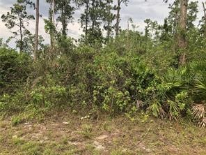 19619 NW 242nd Street Okeechobee FL 34972 S5148422 image1