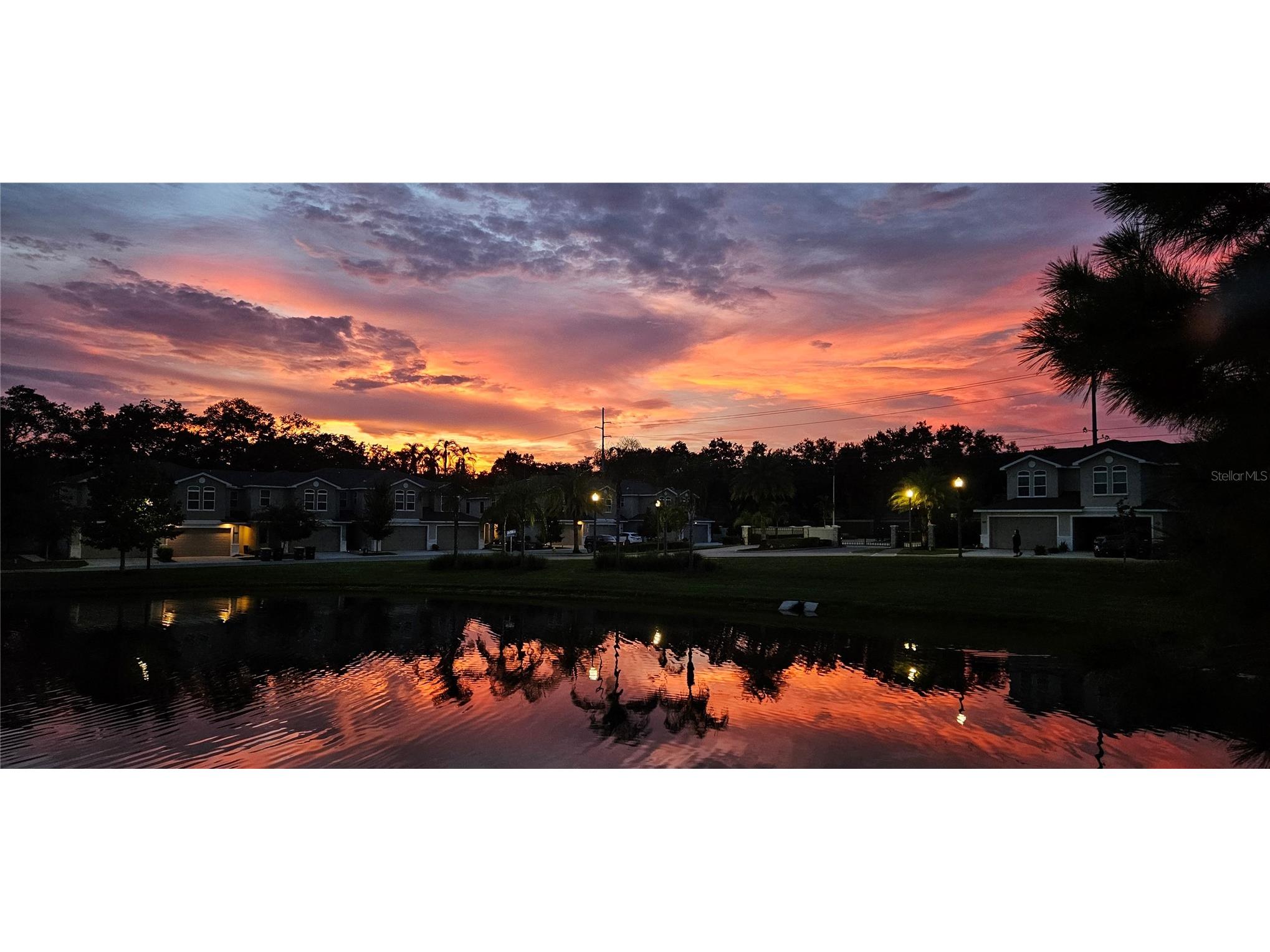 1962 Marlington Way Clearwater FL 33763 TB8470894 image37