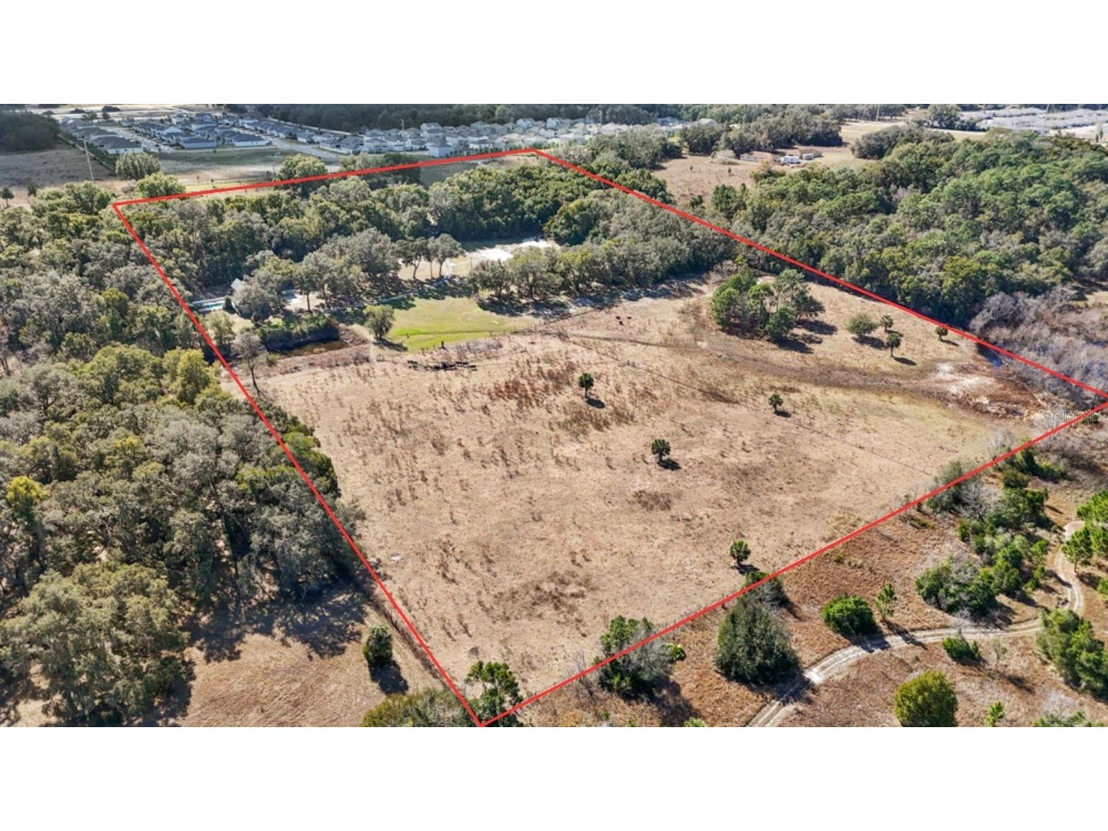 19621 Lake Lincoln Lane Eustis FL 32736 O6373782 image4