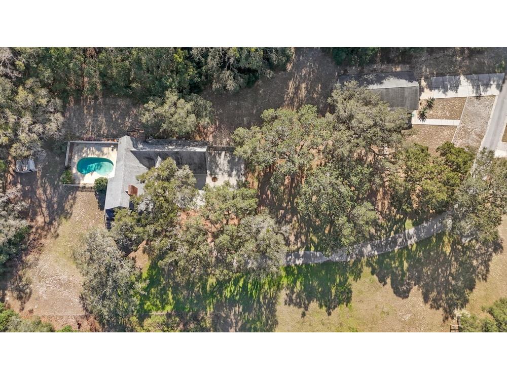 19621 Lake Lincoln Lane Eustis FL 32736 O6373782 image57