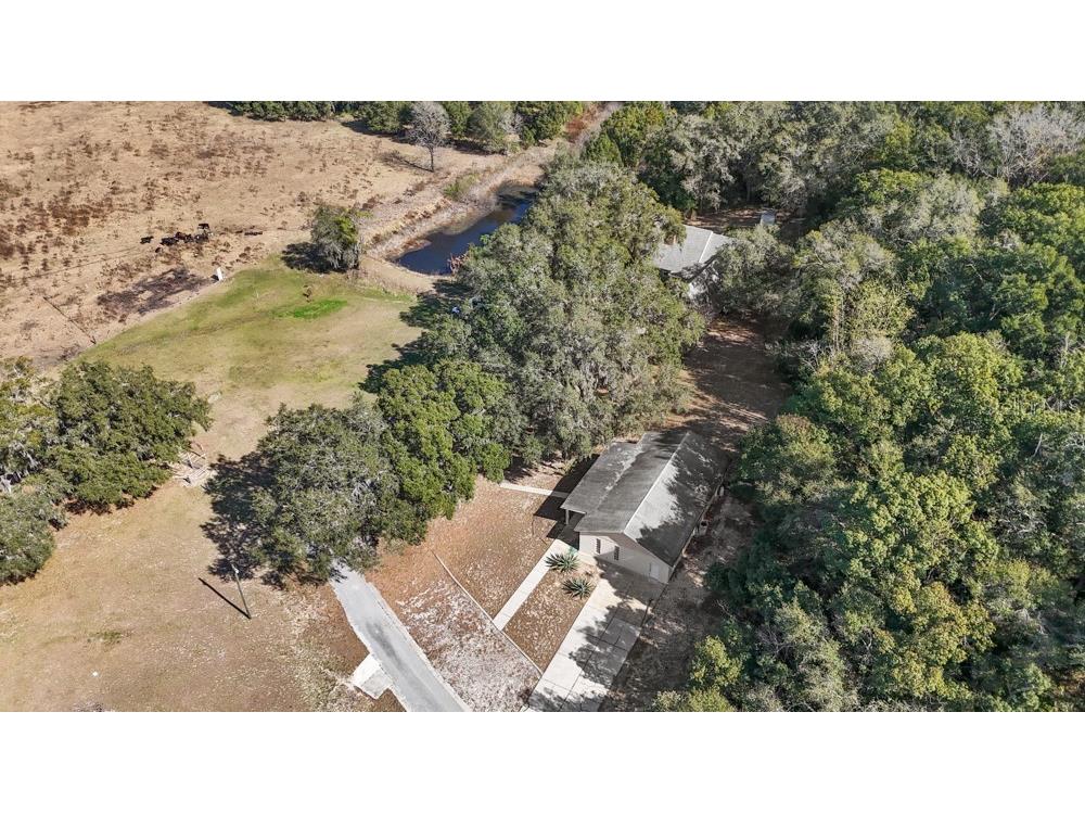 19621 Lake Lincoln Lane Eustis FL 32736 O6373782 image59