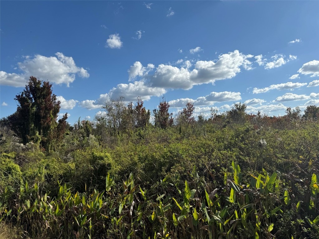 19624 NW 244th Street Okeechobee FL 34972 OK225733 image1