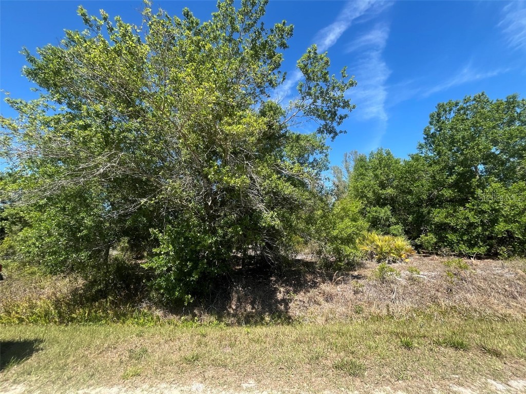 19629 NW 300th Street Okeechobee FL 34972 OK225051 image1