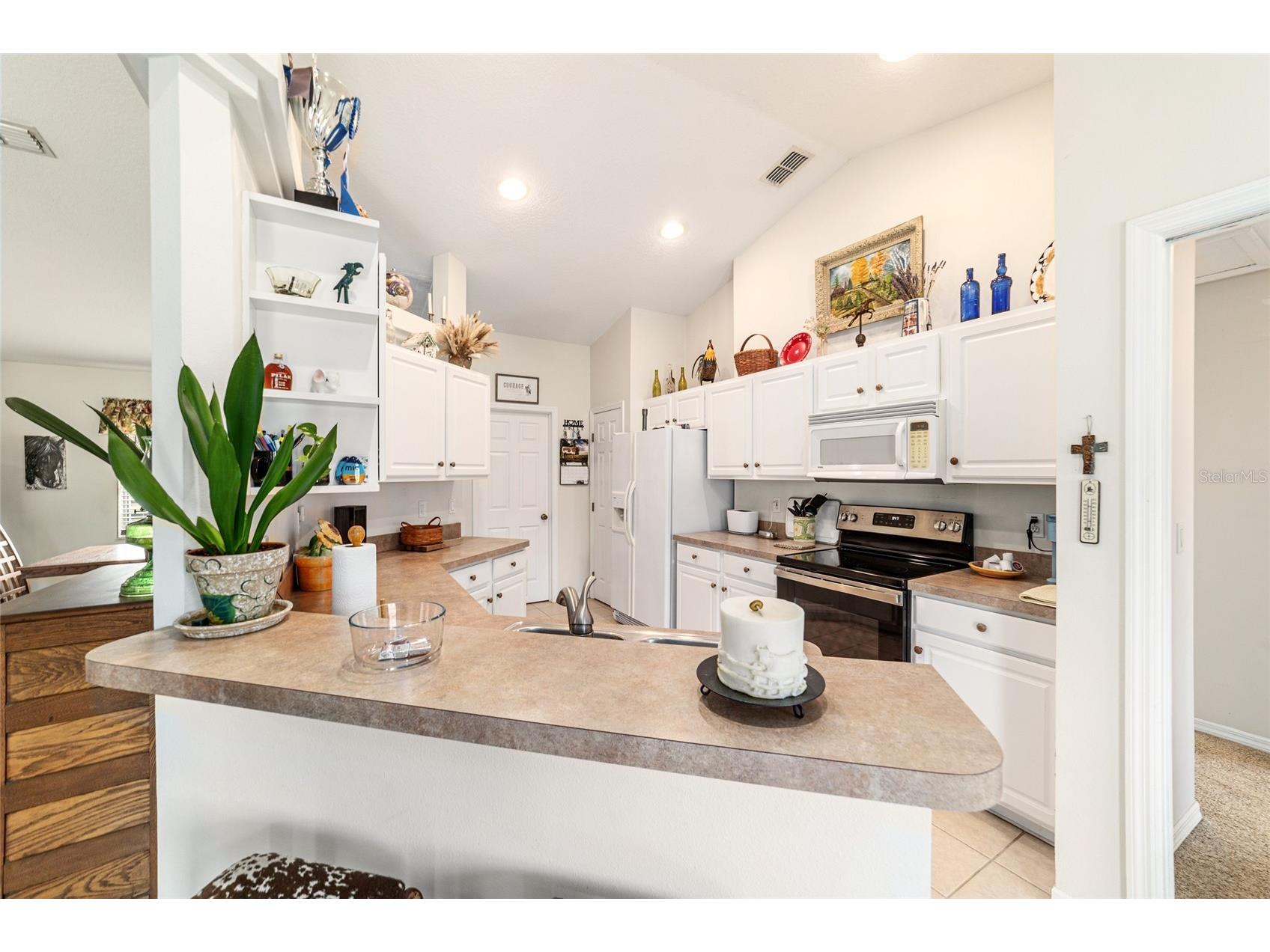 19630 SE 15th Place Morriston FL 32668 OM710566 image29