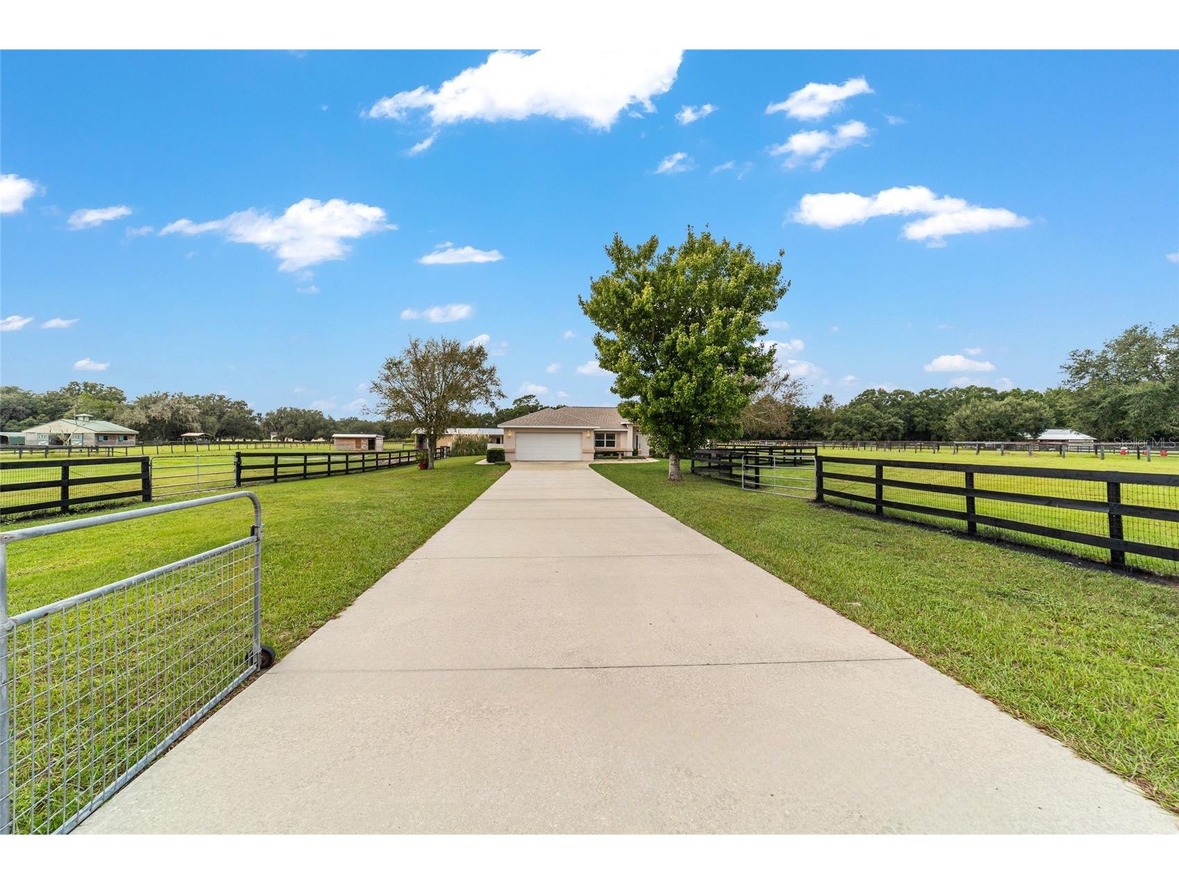 19630 SE 15th Place Morriston FL 32668 OM710566 image3